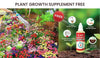 BLOSSOMBLOOM™️ (PACK OF 100 SEEDS) Plant Growth Supplement Free