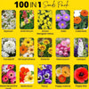 BLOSSOMBLOOM™️ (PACK OF 100 SEEDS) Plant Growth Supplement Free